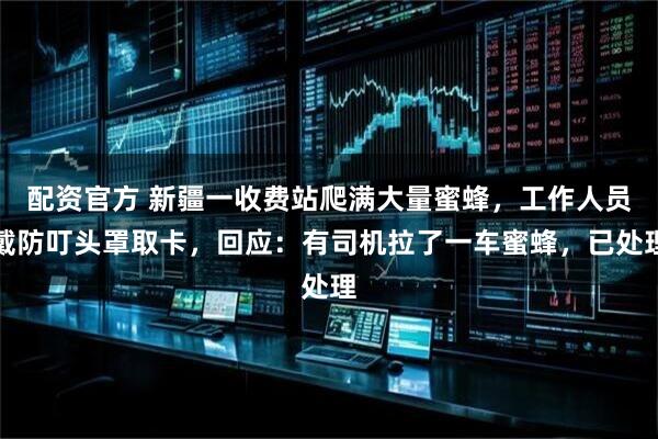 配资官方 新疆一收费站爬满大量蜜蜂，工作人员戴防叮头罩取卡，回应：有司机拉了一车蜜蜂，已处理