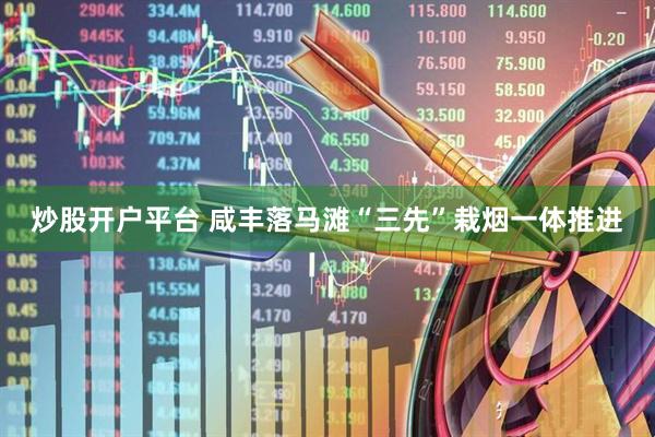 炒股开户平台 咸丰落马滩“三先”栽烟一体推进